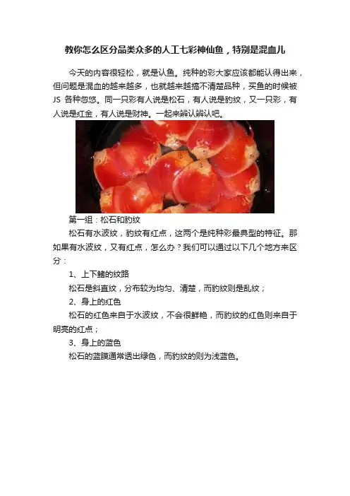 教你怎么区分品类众多的人工七彩神仙鱼，特别是混血儿