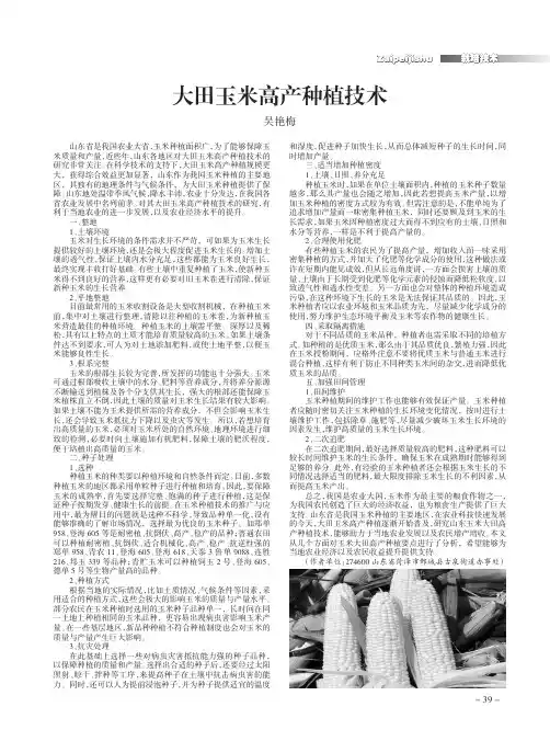 大田玉米高产种植技术
