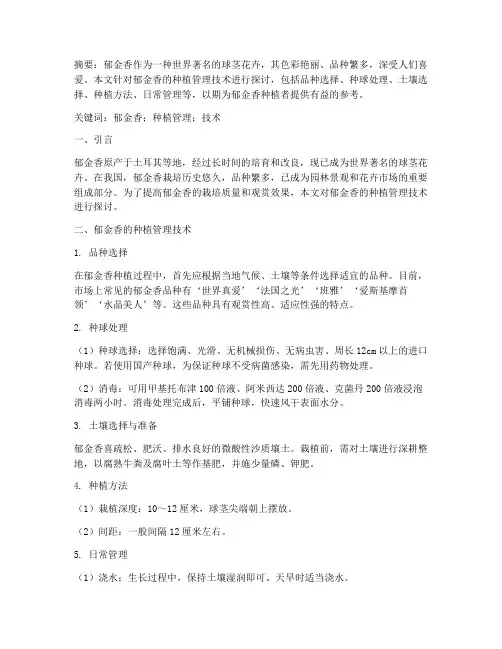 郁金香种植管理技术论文