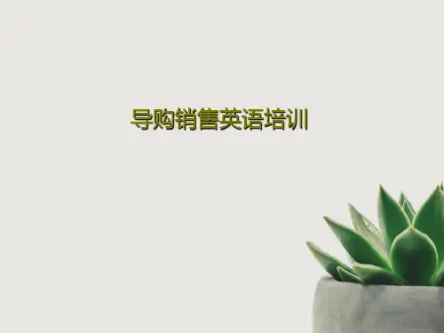 导购销售英语培训34页PPT