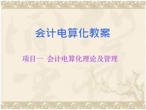 会计电算化教案