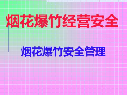 《烟花爆竹安全管理》PPT课件