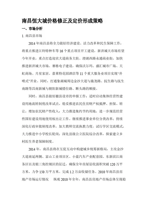 项目定价报告