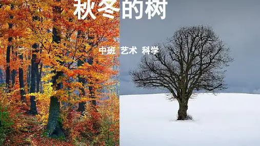 秋冬的树幼儿园中班艺术PPT课件