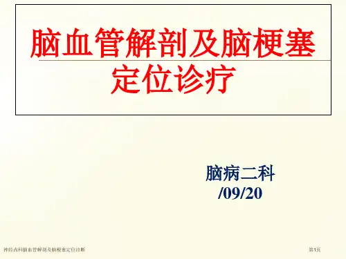 神经内科脑血管解剖及脑梗塞定位诊断