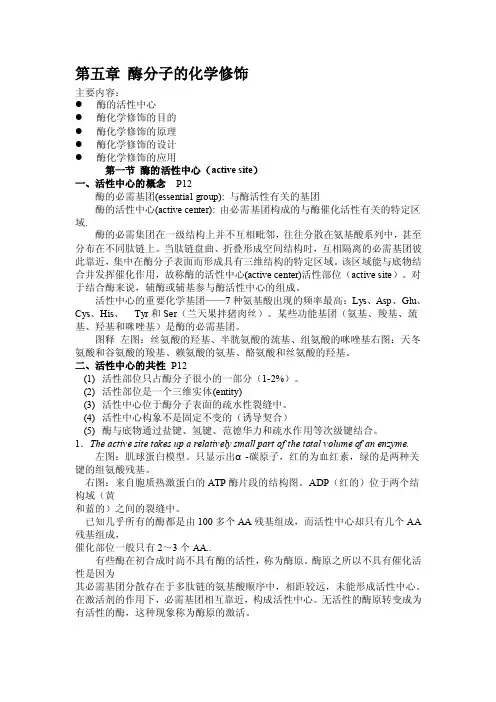 酶的化学修饰