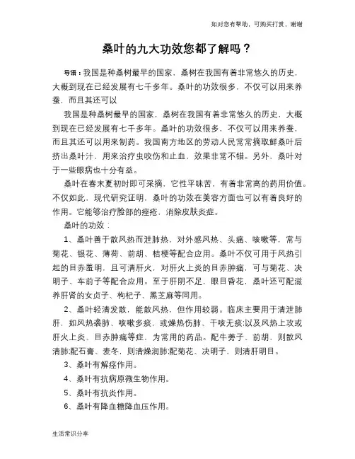 桑叶的九大功效您都了解吗？