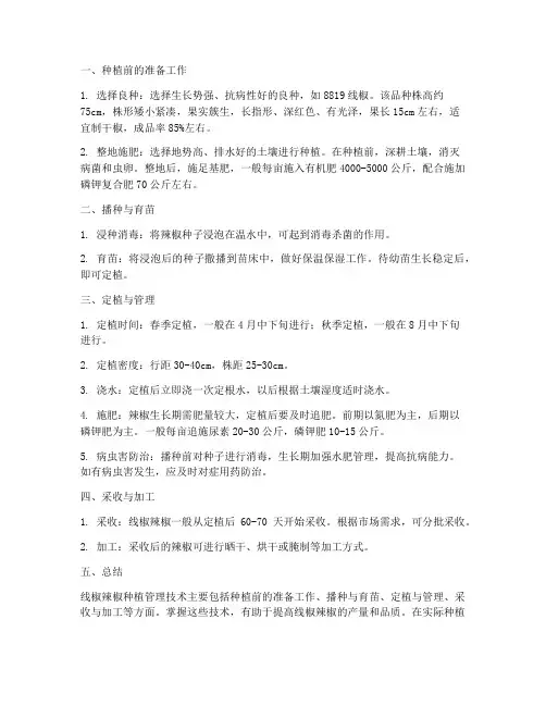 线椒辣椒种植管理技术