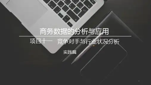 11.1竞争对手分析 课件《商务数据分析与应用》(上海交通大学出版社)