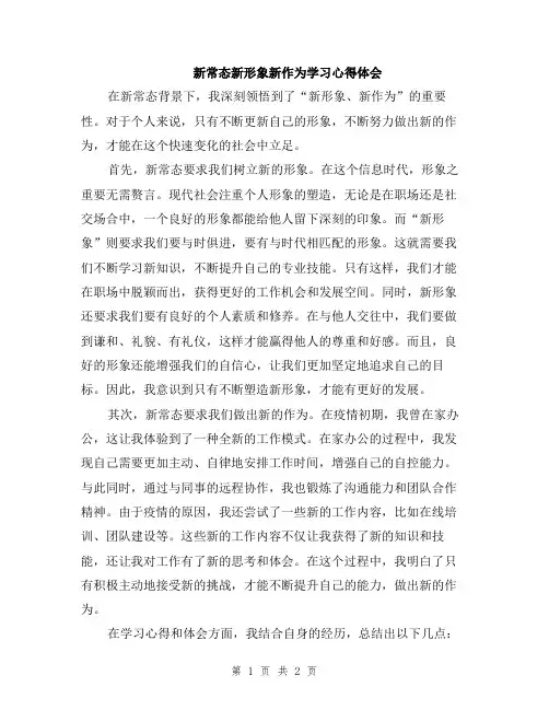 新常态新形象新作为学习心得体会