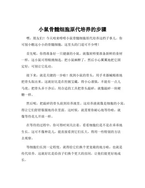 小鼠骨髓细胞原代培养的步骤