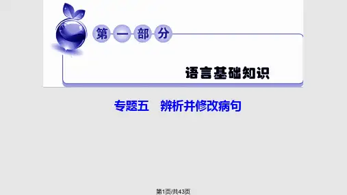 辨析并修改病句高考六大类型大全一轮复习使用PPT课件