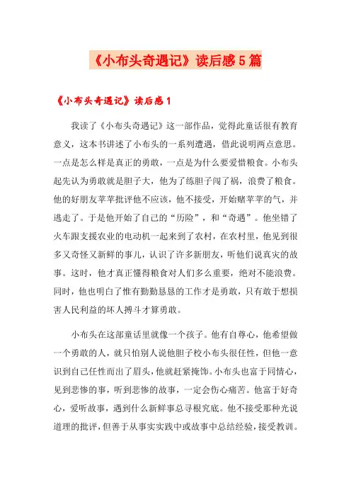 《小布头奇遇记》读后感5篇