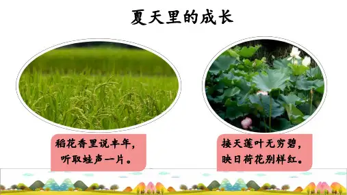 16《夏天里的成长》课件(共30张PPT)