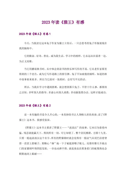 2023年读《猫王》有感