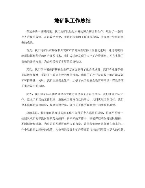 地矿队工作总结