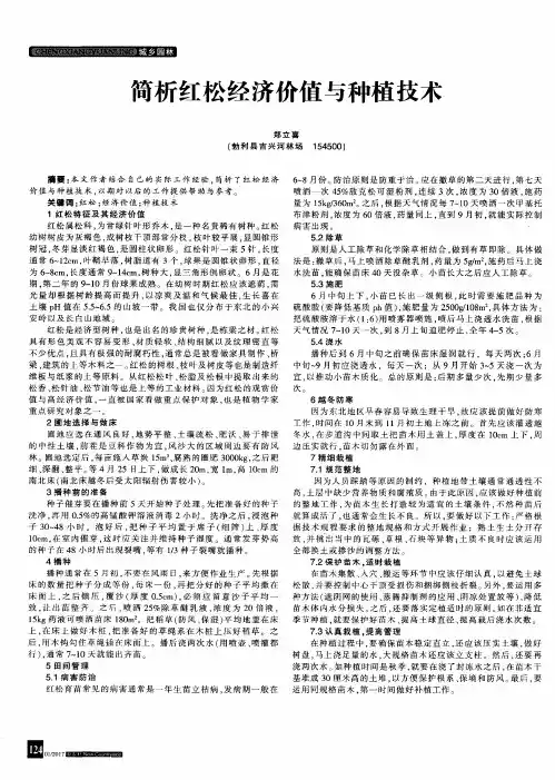 简析红松经济价值与种植技术