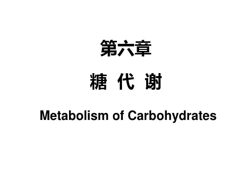 第六章糖代谢