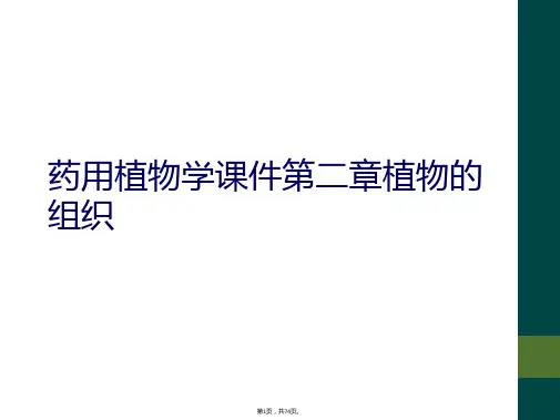 药用植物学课件第二章植物的组织