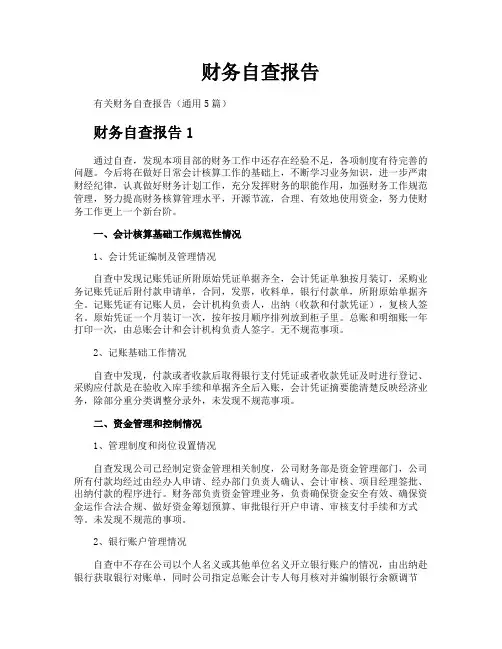 财务自查报告