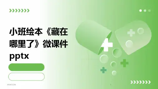 2024版小班绘本《藏在哪里了》微课件pptx