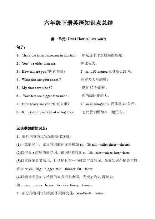 人教版六年级下册英语知识点总结