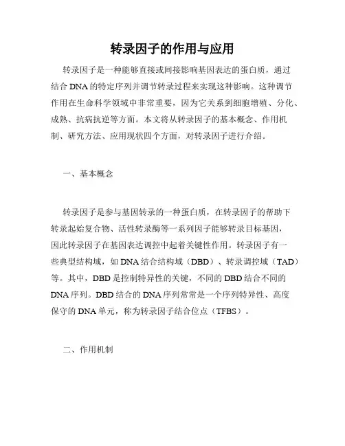 转录因子的作用与应用