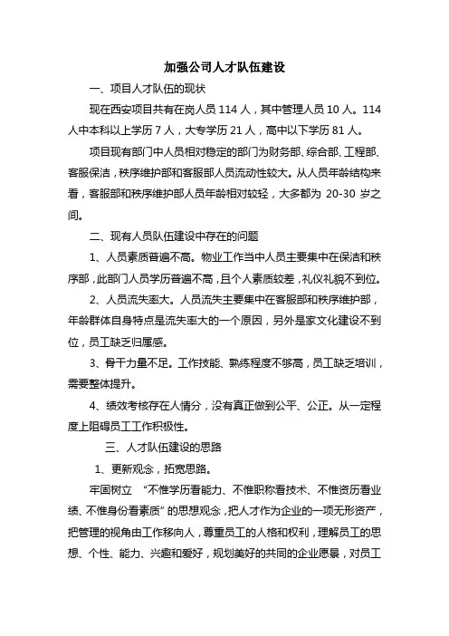 加强公司人才队伍建设的建议