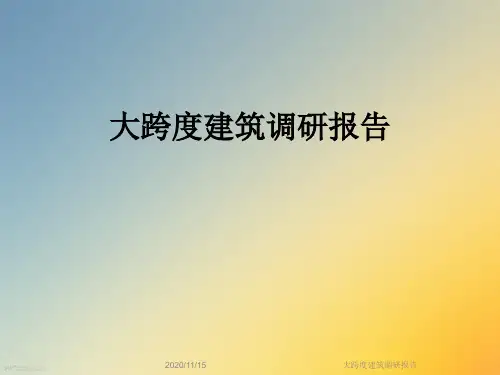 大跨度建筑调研报告