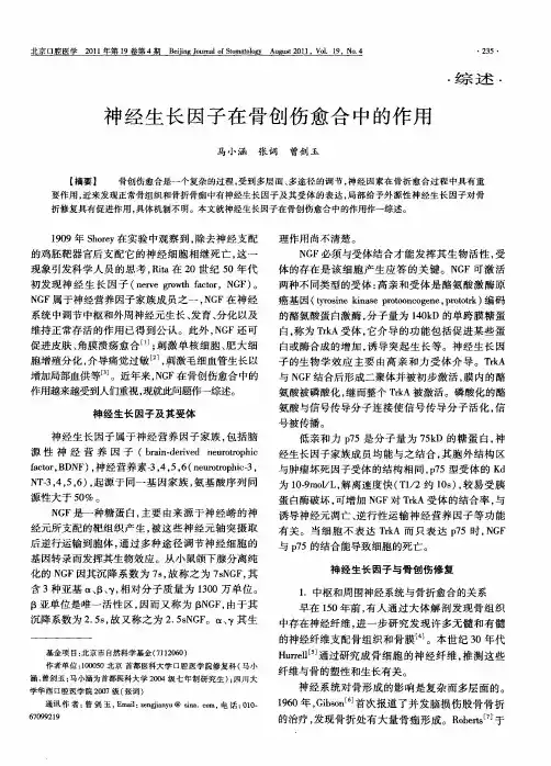 神经生长因子在骨创伤愈合中的作用