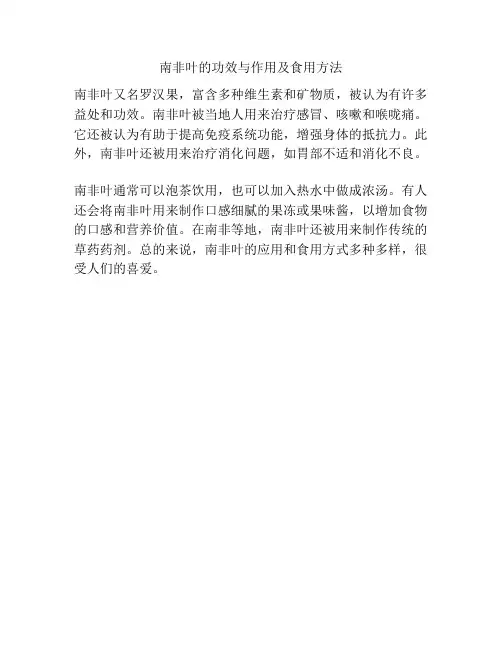 南非叶的功效与作用及食用方法