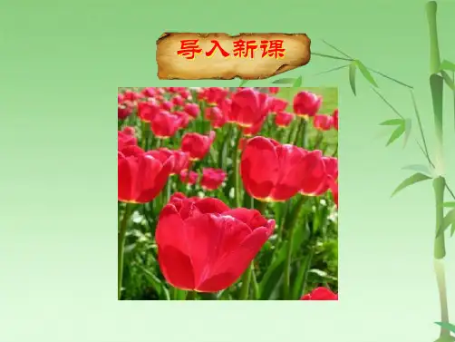 牧场之国(共24张PPT)