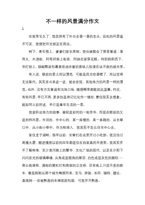 不一样的风景满分作文