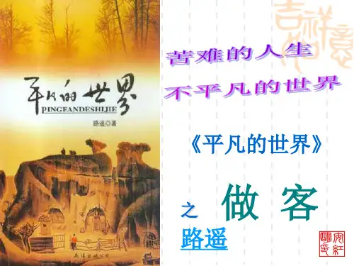《平凡的世界》之 做客
