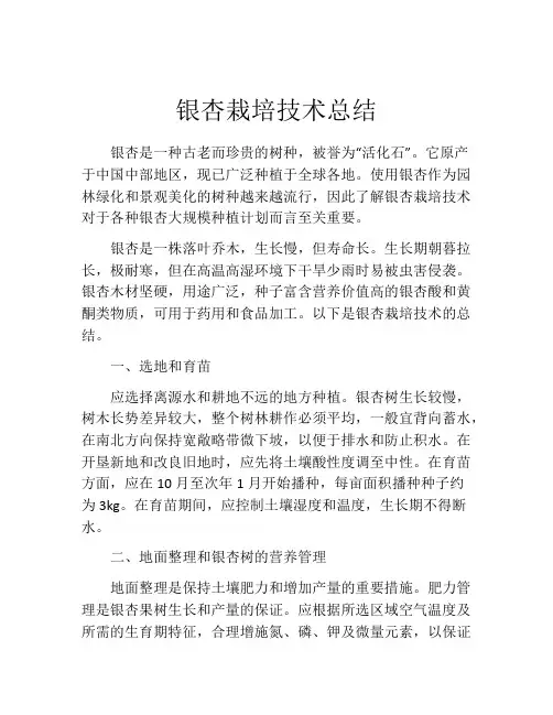 银杏栽培技术总结