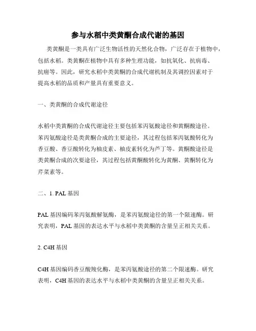 参与水稻中类黄酮合成代谢的基因