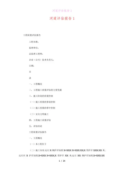 河道评估报告1