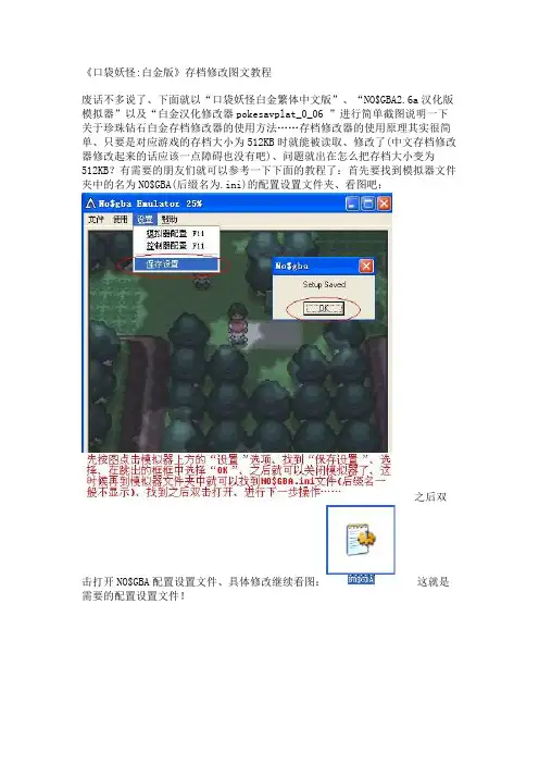 《口袋妖怪_白金版》存档修改图文教程