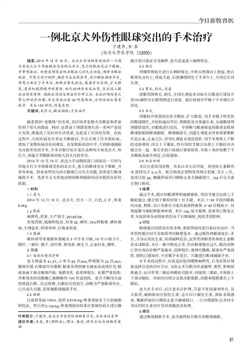 一例北京犬外伤性眼球突出的手术治疗