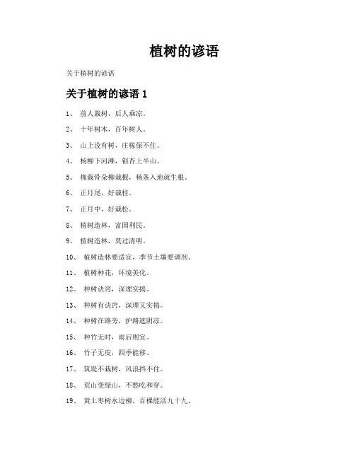 植树的谚语