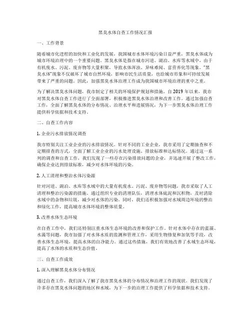 黑臭水体自查工作情况汇报