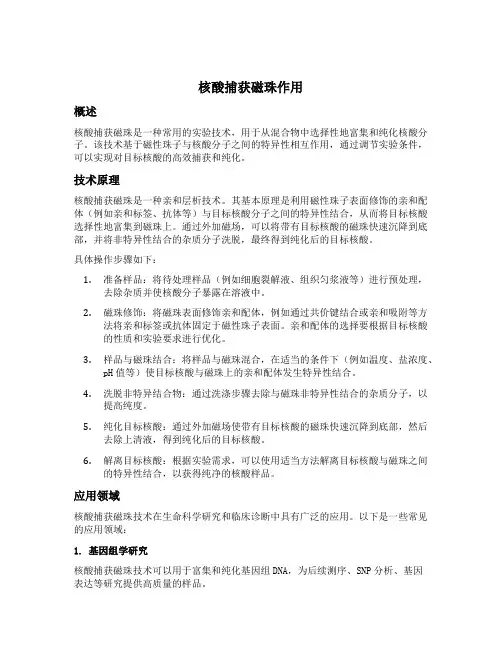 核酸捕获磁珠作用