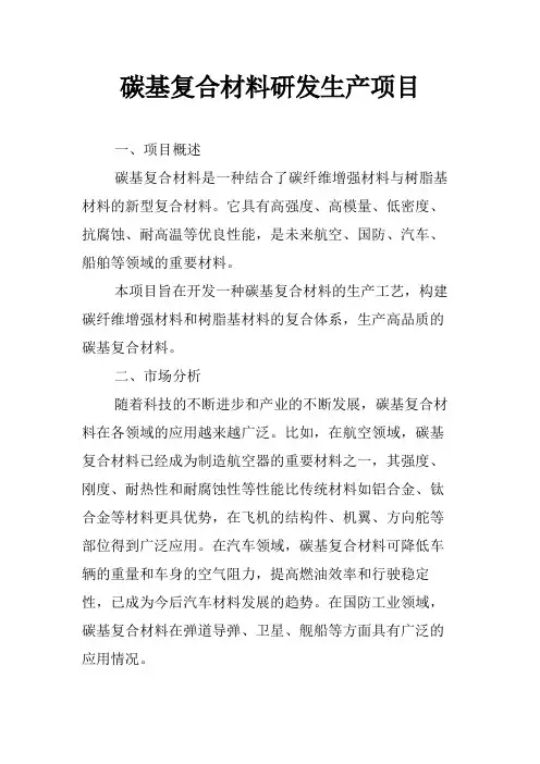碳基复合材料研发生产项目