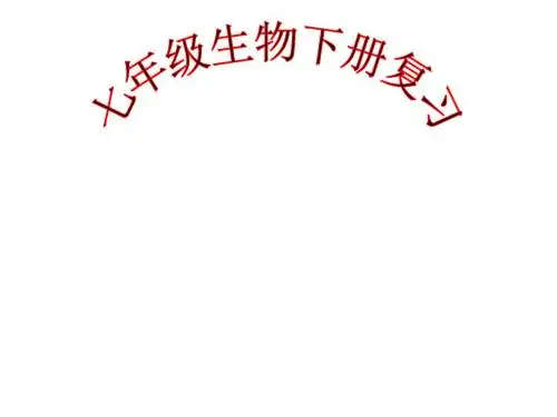 人教版七年级生物下册总复习课件(共99张PPT)