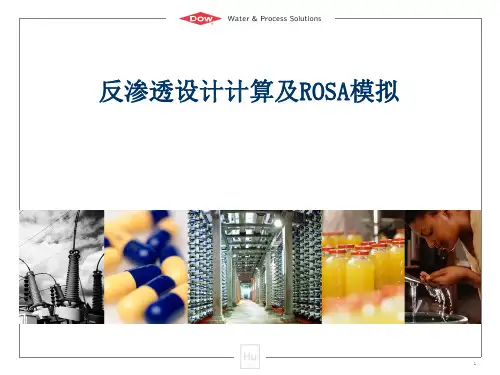 反渗透设计计算及ROSA模拟