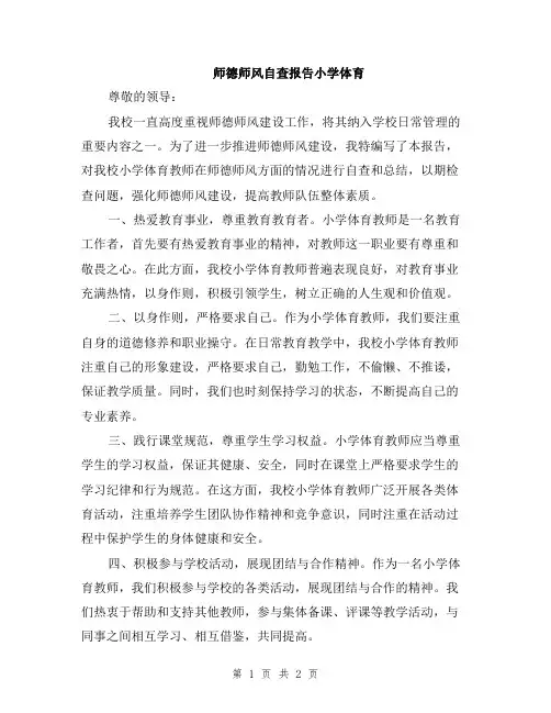 师德师风自查报告小学体育