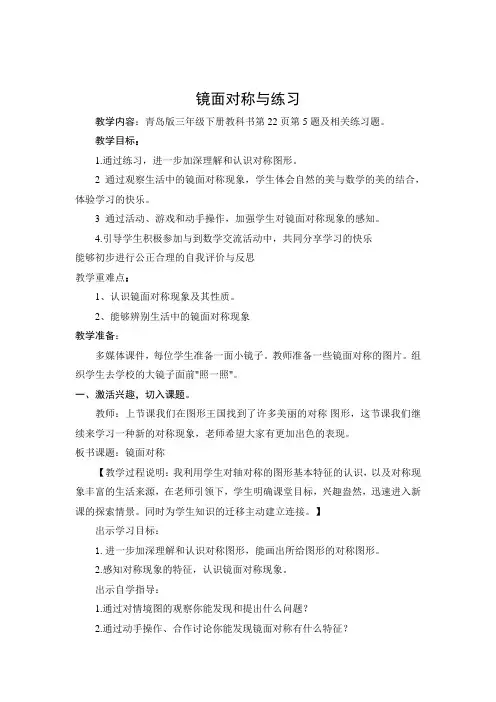 第2课时 镜面对称与联系 台儿庄 孙红岩