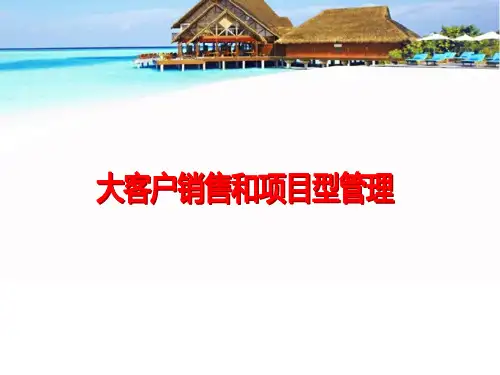 大客户销售和项目型管理ppt课件