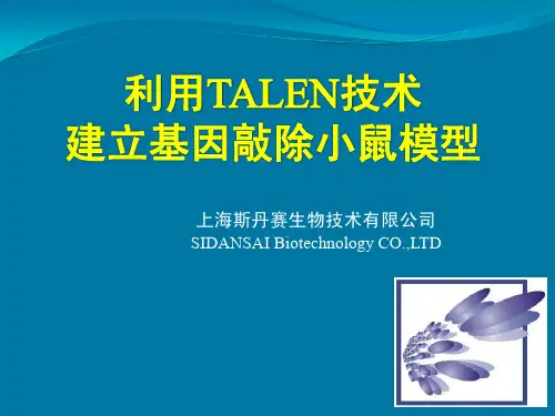 TALEN-小鼠-基因敲除流程
