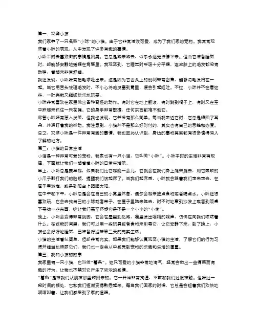 观察小猫作文300字优秀范文5篇